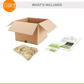 Garden State Bulb Red Alert Calla Lily Flower Bulbs, 12/14cm, Spring Planting (Bag of 5)