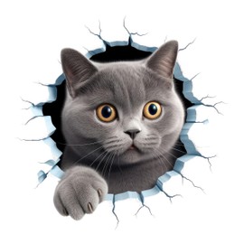 GRAZDesign Wall Sticker Cat Wall Crack Wall Breakthrough Funny Motif Wall Sticker Children's Room Living Room 40 x 40 cm