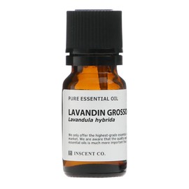 lavandine grosso 10ml incent essential oil essential oil