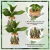 Baderke 12 Packs Propagation Vases for Plants Plastic Plant Propagation