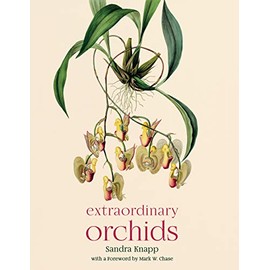 Extraordinary Orchids