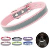 Collar reflectante para cachorros, perros y gatos, color rosa, talla