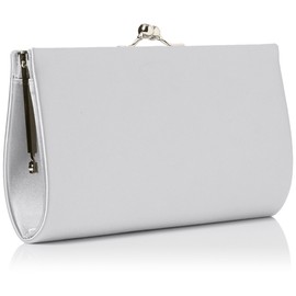 Swanky Swans Womens Mira Satin Classic Frame Bag Clutch Silver (Silver)