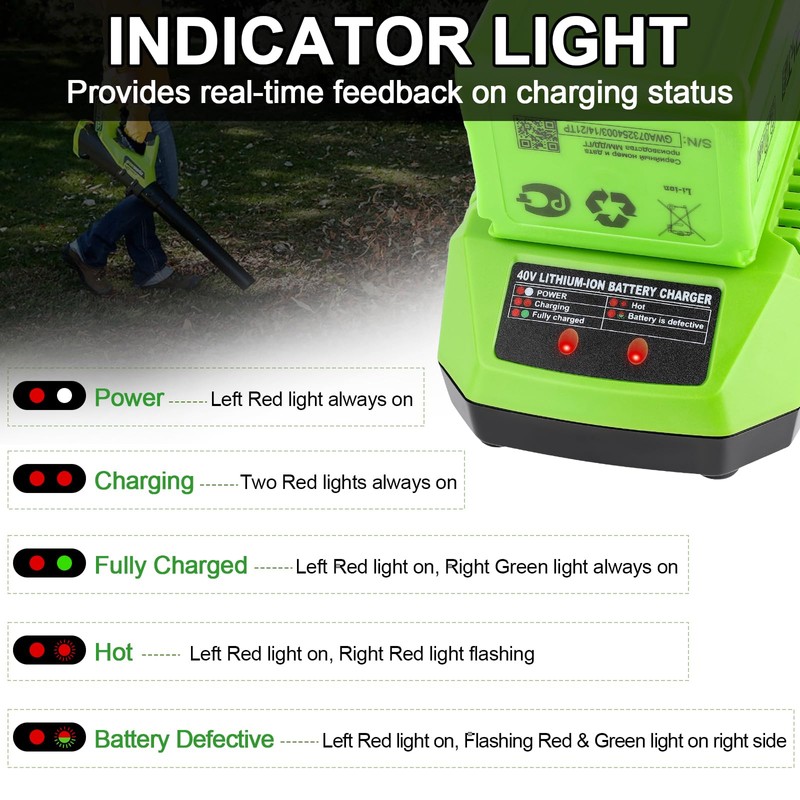 GRVODFRTA 40 Volt Battery Charger Compatible with Greenworks 40V G