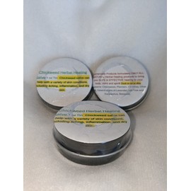 Homemade Products Chickweed Herbal Healing Salve 1 oz ALL-NATURAL
