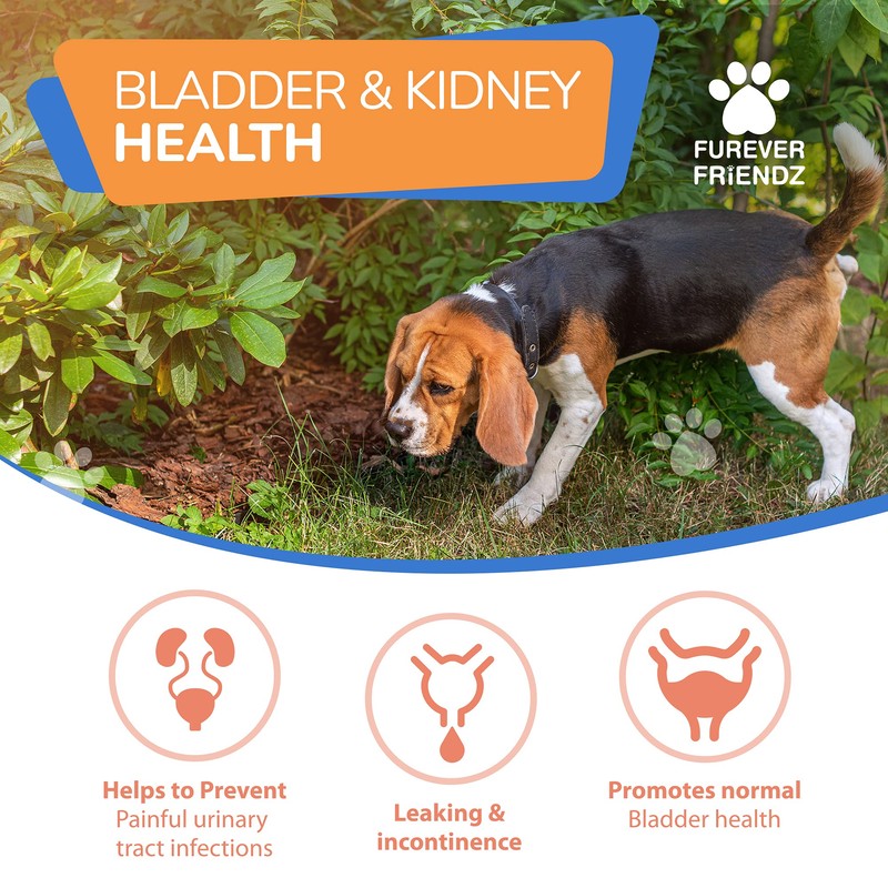 Bladder & Kidney Support Supplement for Dogs & Cats -