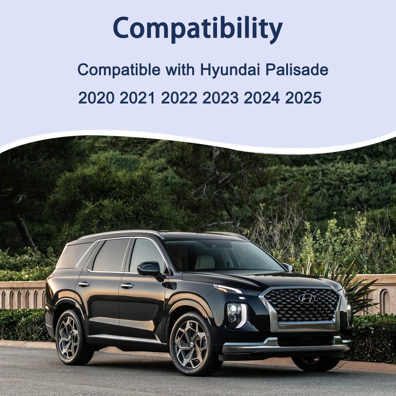 Hyundai Palisade Engine and Cabin Air Filter Set (2020 2021