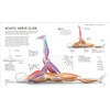 Science of Stretch: Reach Your Flexible Potential, Stay Active, Maximize