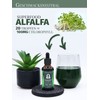 Adema Natural® - Chlorophyll Extract Drops - Extremely Green Liquid