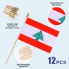 HSQCEZ 12Pcs Small Lebanon Flags on Wooden Stick Mini Lebanese