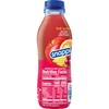 Snapple Fruit Punch Juice Drink, 16 fl oz recycled plastic