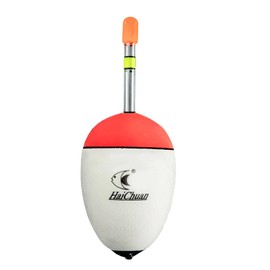 10 Sizes to Choose, 10 to 100g EVA Luminous Fishing Float for Sea Fishing Carp Tackle (10g)