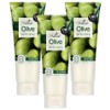On the Body The Natural Olive Moist Cleansing Foam, 200g, 3 pieces / 온더바디 더 내추럴 올리브 촉촉한 클렌징 폼, 200g, 3개