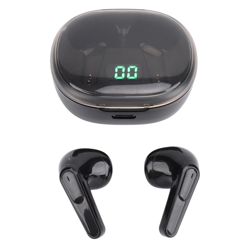 Voice Translator Earphones, Noise Cancellation, Real-time Translation Translator Device, Supports