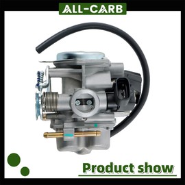 Carburetor Replacement for Honda Ruckus NPS50 NPS50S 2008-2019 CHF50 2002-2009 16100-GGA-672
