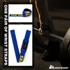 Meteor Weightlifting Straps for Enhanced Grip and Barbell Stability (Pair),