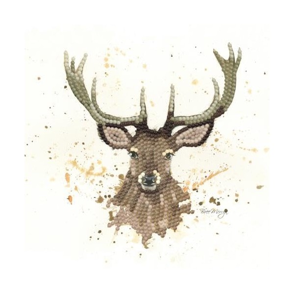 My Sparkle Art Bree Merryn Sheridan Diamond Art Card Kit,