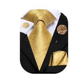 Hi-Tie Silk Men's Tie and Pocket Square Cufflinks Lapel Pin Set Jacquard Wedding Business Necktie for Formal,Gold A