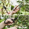 15-Piece Bonsai Tree Kit, Bonsai Tool Set, Bonsai Starter Kit,