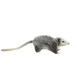 Hansa 8042 Opposum 23cm.L