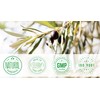 Olive Babies Champú acondicionador 3 en 1 y lavado corporal,