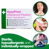 Safety First Aid Group HypaPlast Pink Washproof, Assorted (100) Sterile