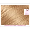 L'Oreal Paris Excellence Creme Haircolor, Medium Golden Blonde [8G] (Warmer)