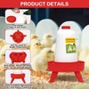 Chick Feeder and Waterer Kit, Top Fill 1.5kg Chick Feeder