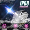 SPOLI Xenon Bulb HID D1S, 8000K Blue Car Headlight Bulb