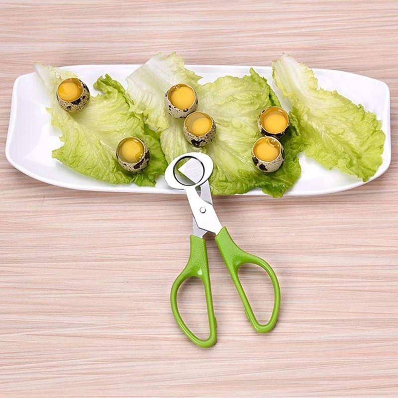Quail Egg Scissors,(2PCS) Bird Pigeon Egg Cutter Opener Stainless Steel