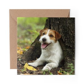 1 x Greeting Card Jack Russell Terrier Puppy Dog Pet - Blank Birthday Celebration Anniversary #16304
