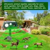 Cat Repellent Outddor, Deer Repellent Devices Solar Ultrasonic Animal Repeller