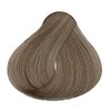 Loquay Tinte en crema Pure Color, Rubio Medio Cenizo, 120