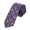 DAE7B01F Black Purple Pink Patterned Microfiber Skinny Tie Economics For