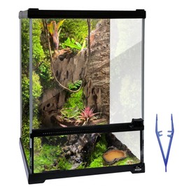 Waazoorep Reptile Glass Terrarium Tank 10 * 10 * 14in, Full View with Front Opening Door,Amphibians Enclosure Habitat Cage for Leopard Gecko Tarantula Young Lizard Hermit Crab Frog Insects Breeding