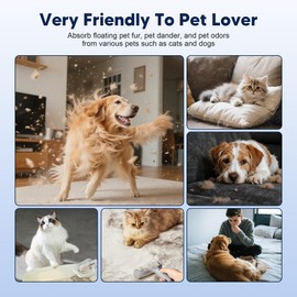 PETOX 4 Pack 116130 HEPA Toxin Absorber Replacement Filter H for Winix PlasmaWave Air Purifier 5500 5500-2 C535 5300 5300-2 6300 6300-2 P300 AM90 9000 5000 5000B C909 9800, H13 True HEPA Filter