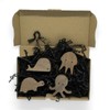 PLT Sea Animals Wall Hook Made of Untreated Walnut Wood