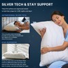 felo Feather Down Pillow Queen Size, CloudFusion Goose Down Pillow