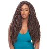 Janet Collection Noir 2X Mambo Twist Braid 24" (M1B/33)