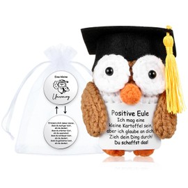 Otuuz Positive Owl Doll and Small Hug Lucky Charm You Create The Gift Creative Knitting Wool Owl Doll Exam Lucky Charm Pocket Hug Courage Cheer Get Well Gift