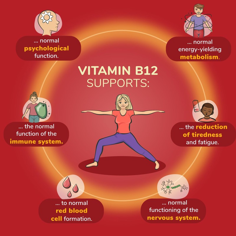 Vegavero Vitamin B12 Liquid | 50 ml (500 Days Supply)