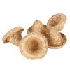 5Pcs Mini Sombrero Straw Hats 3.7in Diameter Retro Simple Style