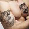 Nirbffo Large Size Tattoo Stickers Lion Tiger Wolf Transferable Tattoo