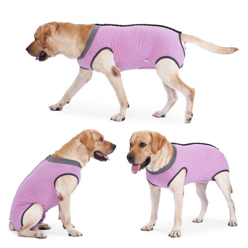 Dog Recovery Suit Abdominal Wound Protector Puppy Medical Surgical Clothes