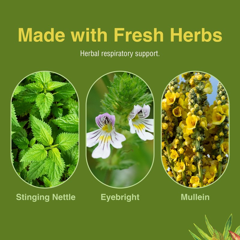 Herbs Etc. Allertonic - Healthy Breathing Support - Herbal Blend