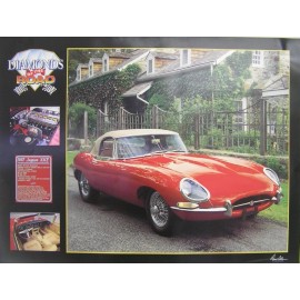 1967 Jaguar XKE Poster 18 x 24 w/ IN DIGITAL PHOTOGRAPHY w/ FREE SHIPPING!!!