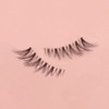 ZMaglorian Half Eyelashes Natural False Eyelashes Clear Band Pair Lashes