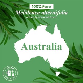 Aceite Esencial Arbol De Té Tea Tree Australian Premium Puro