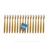 Organic, BPA-Free Bamboo Toothbrush - Biodegradable, Environment-Friendly, Natural, Compostable, Vegan