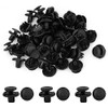 100 Pcs Hole Retainer Clips Plastic Drive Rivets Flaps Bumper